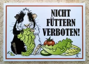 Cavialand Schild nicht fuettern verboten