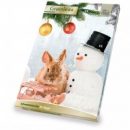 JR Grainless Adventskalender (360g)